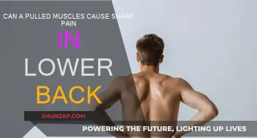 Pulled Muscles: Lower Back Sharp Pain Causes