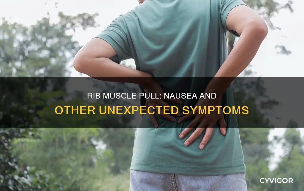 can a pulled rib muscle cause nausea