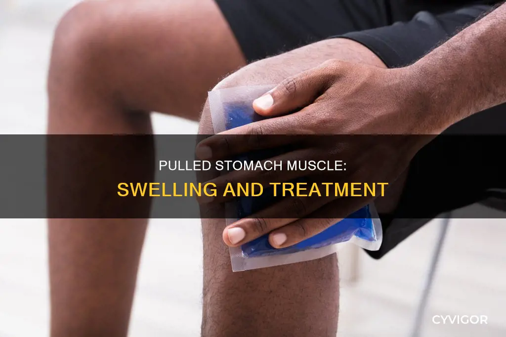 can a pulled stomach muscle cause swelling