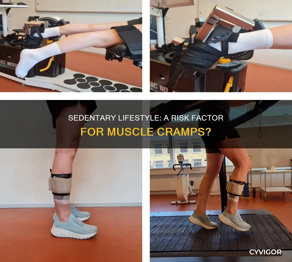 can a sedentary lifestyle cause muscle cramps