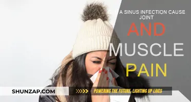 Sinus Infection: Joint and Muscle Pain Explained