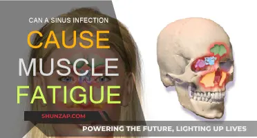 Sinus Infections: Muscle Fatigue and Other Surprising Symptoms