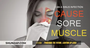 Sinus Infection and Sore Muscles: Is There a Link?