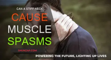Neck Stiffness and Muscle Spasms: What's the Connection?