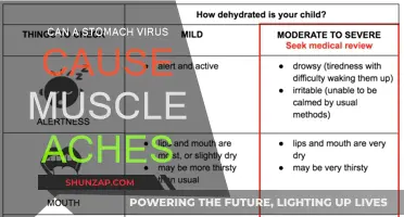 Stomach Virus Symptoms: Muscle Aches and Pains Explained