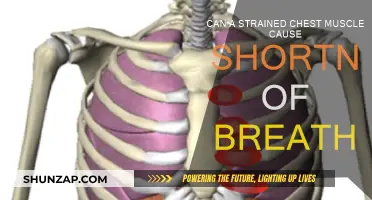 Chest Muscle Strain: Can It Cause Breathing Problems?