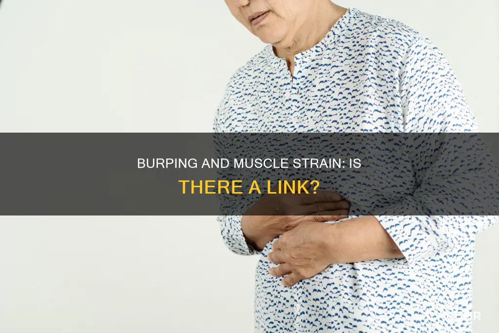 can a strained muscle cause burps to hurt