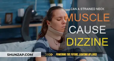 Neck Strain and Dizziness: What's the Connection?