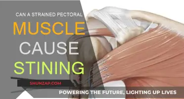 Pectoral Muscle Strain: Why It Hurts and How to Heal