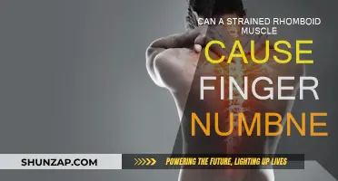 Rhomboid Muscle Strain: Finger Numbness Explained