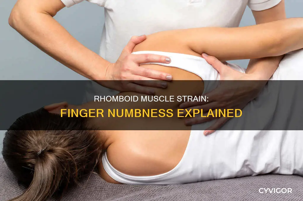 can a strained rhomboid muscle cause finger numbnes