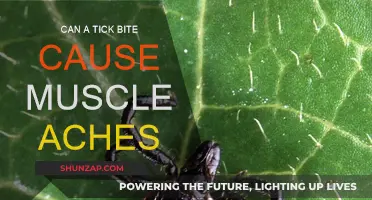Tick Bite: Muscle Aches and Other Symptoms