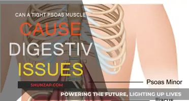 Tight Psoas: A Surprising Cause of Digestive Distress?