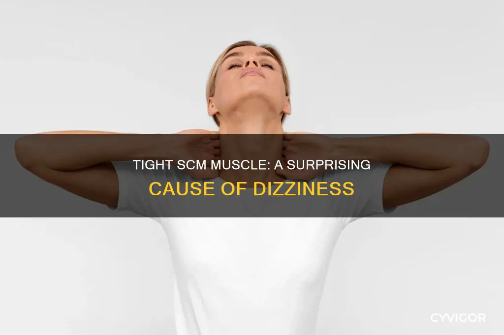 can a tight scm muscle cause dizziness