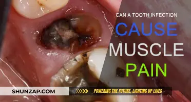 Tooth Infection and Muscle Pain: Is There a Link?