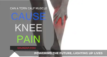 Torn Calf Muscle: Is It Behind Your Knee Pain?