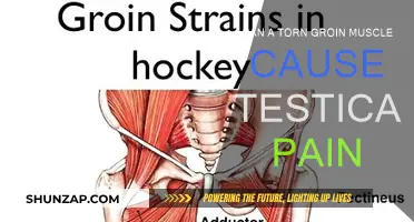 Groin Muscle Tear: Testicle Pain and You