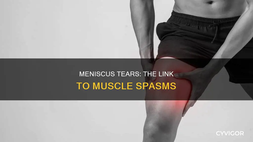 can a torn meniscus cause muscle spasms