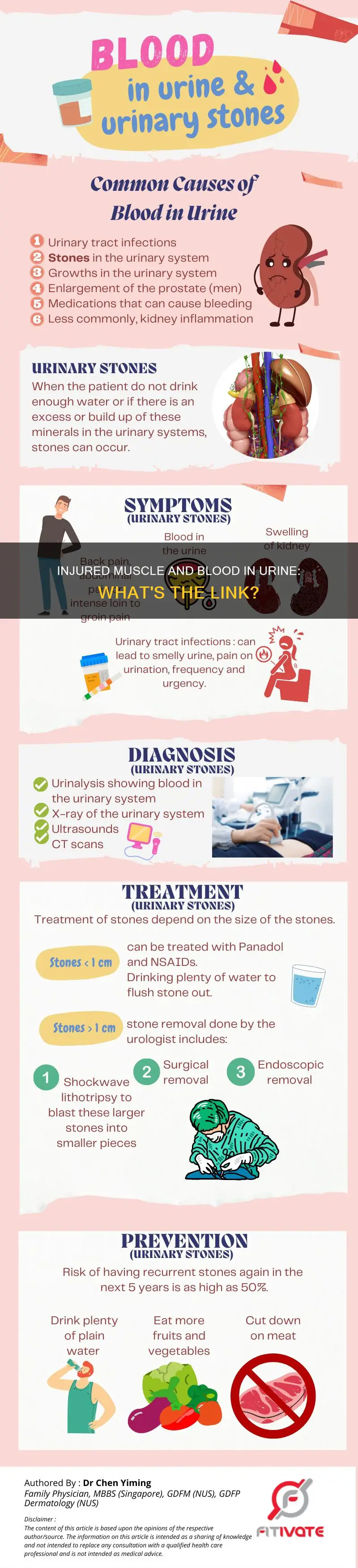 can a torn muscle cause blood in urine