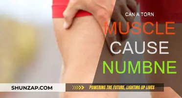 How Numbness Can Be a Sign of a Torn Muscle