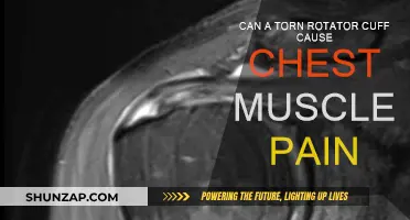 Torn Rotator Cuff: Is Chest Pain a Symptom?