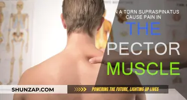 Supraspinatus Tear: Pec Muscle Pain Connection