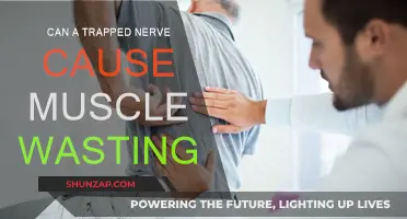 Nerve Entrapment: Muscle Wasting and Recovery