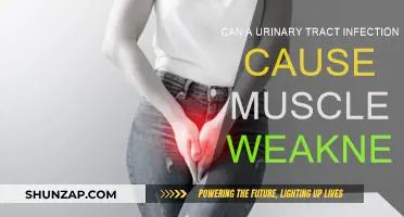 Urinary Tract Infections: Muscle Weakness and Fatigue