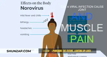 Viral Infections: Joint and Muscle Pain Connection