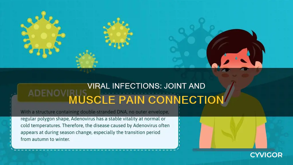 can a viral infection cause joint and muscle pain
