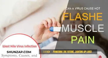 Virus-Induced Hot Flashes and Muscle Pain: What's the Link?