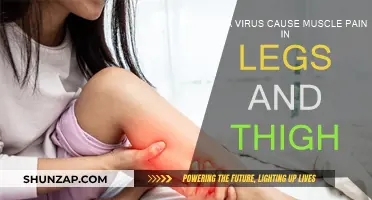 How Viruses Cause Leg and Thigh Muscle Pain