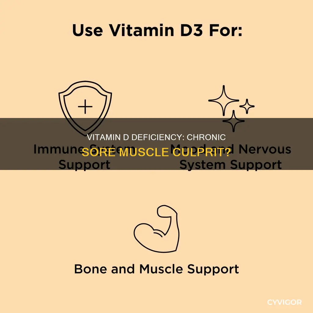 can a vitamin d deficieny cause chronic sore muscles