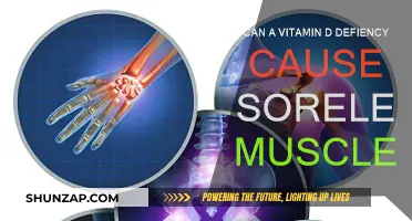 Vitamin D Deficiency: Sore Leg Muscles Explained
