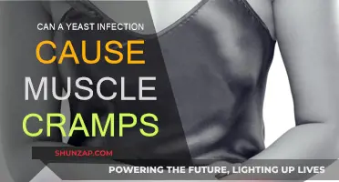 Yeast Infection: Muscle Cramps and Their Connection