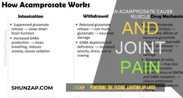 Acamprosate's Uncomfortable Side Effects: Muscle and Joint Pain