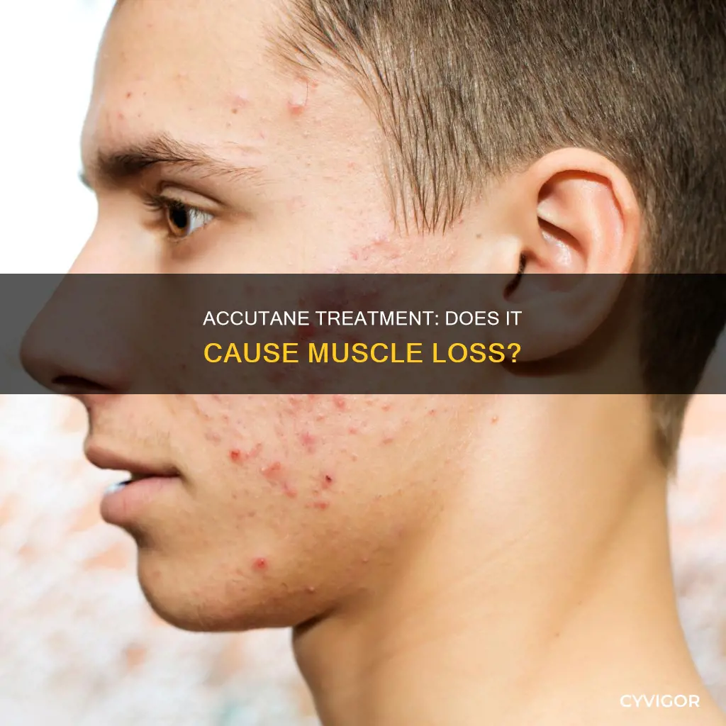 can accutane cause muscle loss