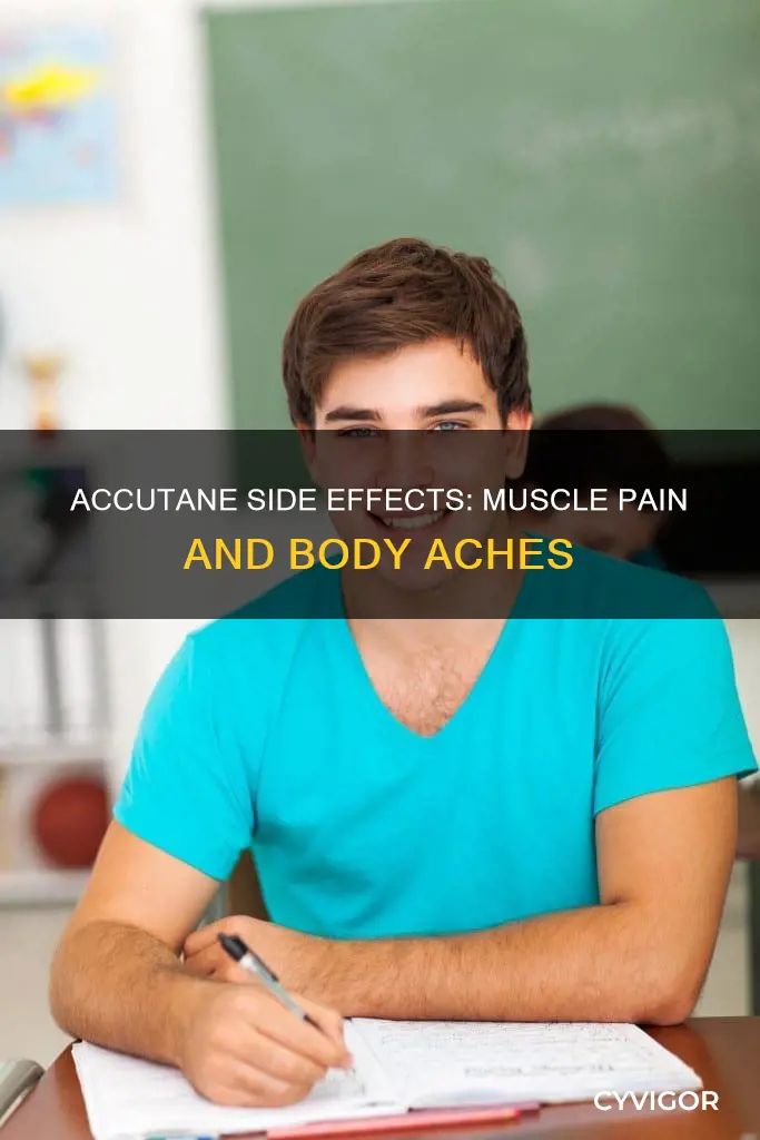 can accutane cause muscle pain