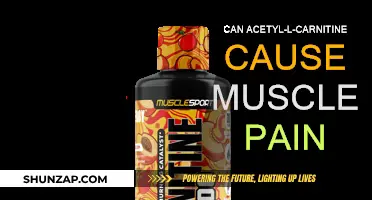 Does Acetyl-L-Carnitine Cause Muscle Pain?