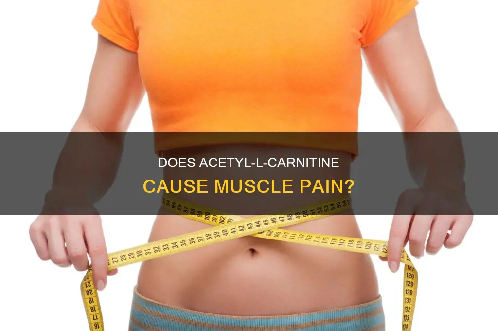 can acetyl-l-carnitine cause muscle pain