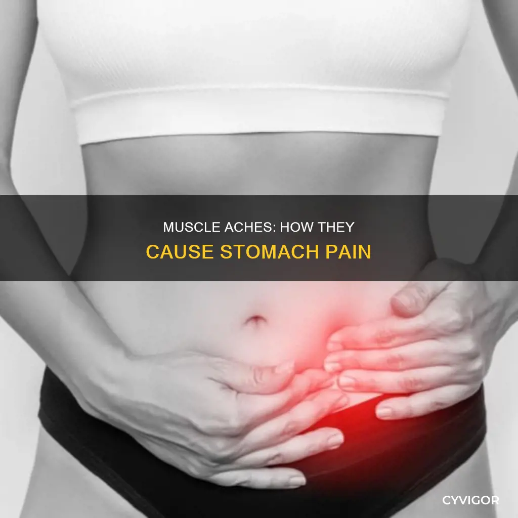 can aching muscles cause stomach pain
