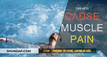 Acid and Muscle Pain: Is There a Link?