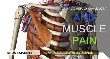 Acid Reflux: Joint and Muscle Pain Culprit?