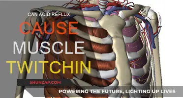 Acid Reflux and Muscle Twitching: Is There a Link?
