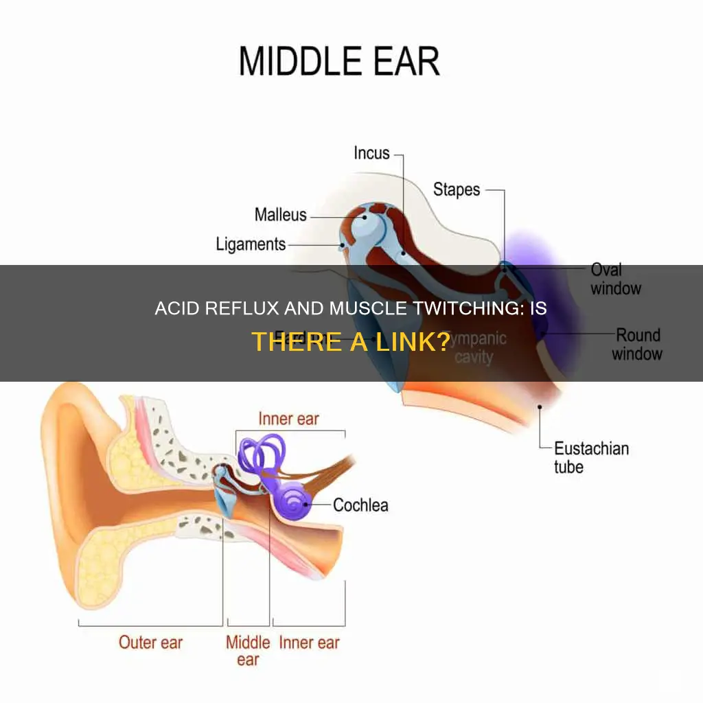 can acid reflux cause muscle twitching