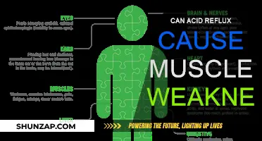 Acid Reflux: Muscle Weakness Culprit or Coincidence?