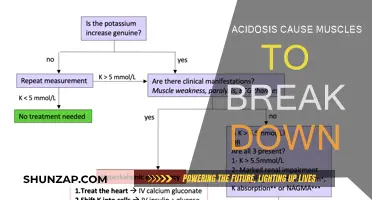 Acidosis: Muscle Breakdown and Its Prevention