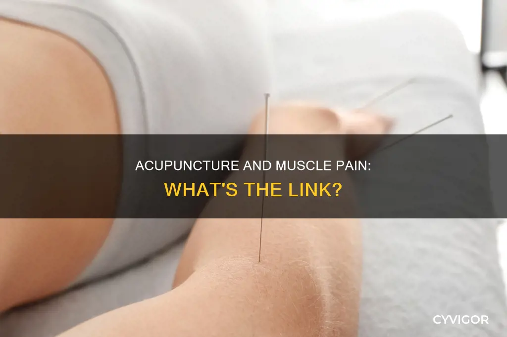 can acupuncture cause muscle pain