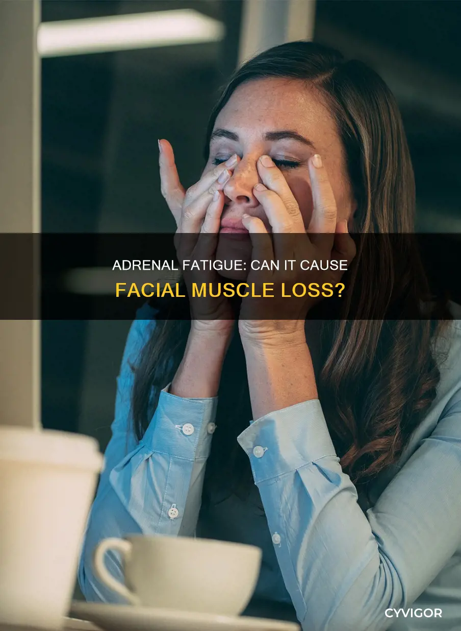 can adreanal fitigue cause muscle loss in your face