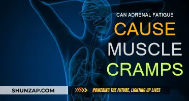 Adrenal Fatigue and Muscle Cramps: Is There a Link?